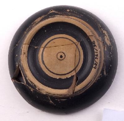 Marian Venceslá Delgado (CERES)